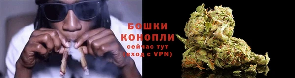 гашик Зеленодольск