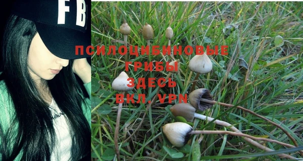 мяу мяу мука Зеленокумск