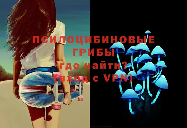 гашик Зеленодольск